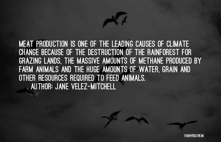 The Rainforest Quotes By Jane Velez-Mitchell