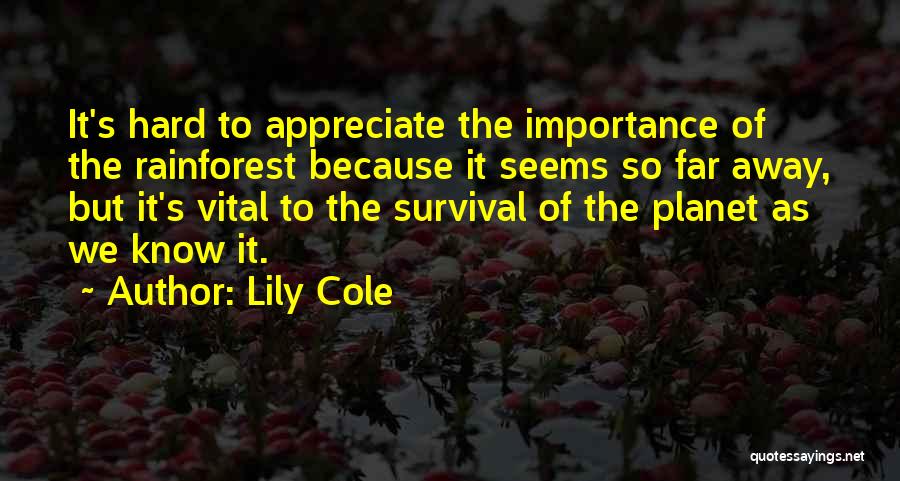 The Rainforest Quotes By Lily Cole