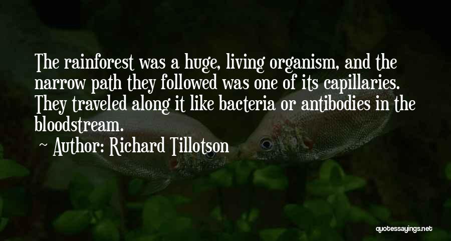 The Rainforest Quotes By Richard Tillotson