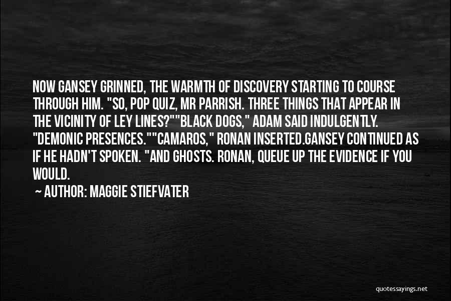 The Raven Cycle Gansey Quotes By Maggie Stiefvater