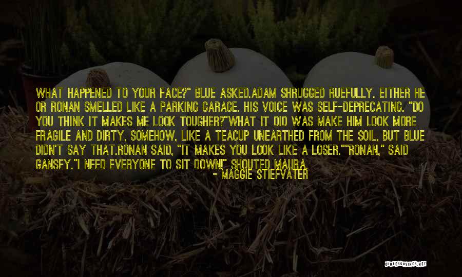 The Raven Cycle Quotes By Maggie Stiefvater The Raven Cycle Quotes By Maggie Stiefvater