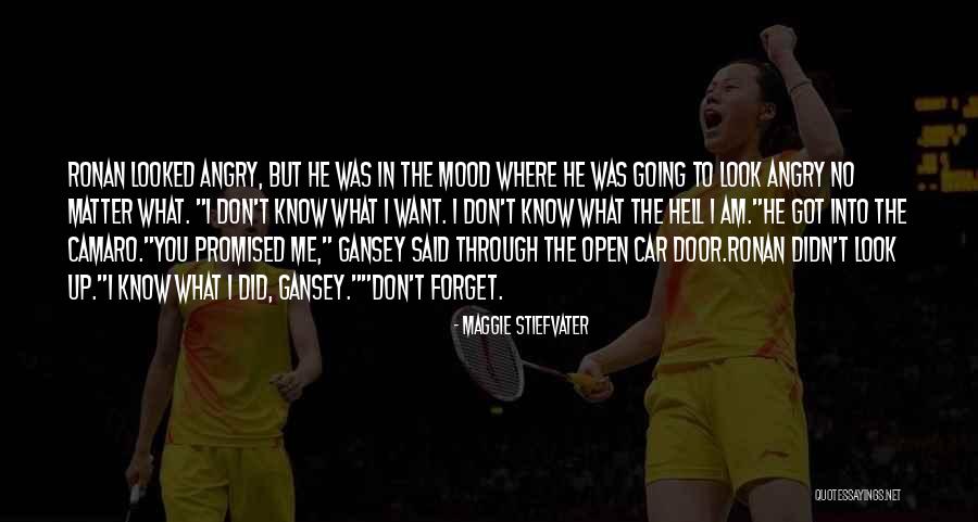 The Raven Cycle Quotes By Maggie Stiefvater The Raven Cycle Quotes By Maggie Stiefvater