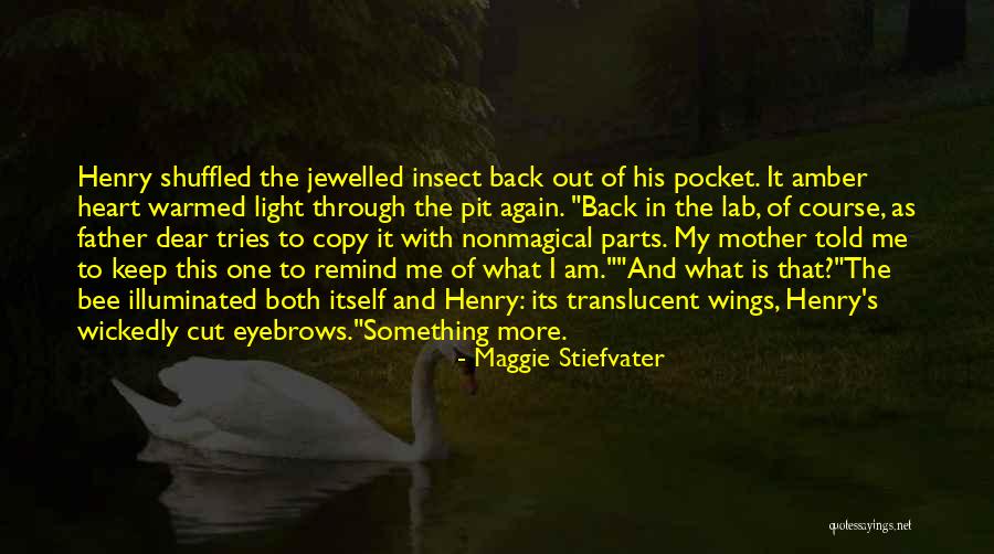 The Raven Cycle Quotes By Maggie Stiefvater The Raven Cycle Quotes By Maggie Stiefvater