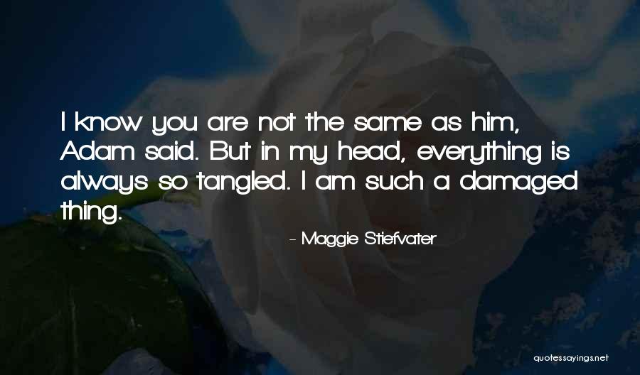 The Raven Cycle Quotes By Maggie Stiefvater The Raven Cycle Quotes By Maggie Stiefvater