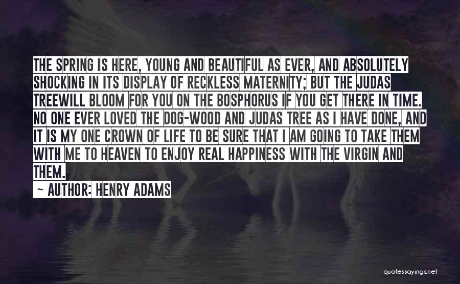 The Real Happiness Quotes By Henry Adams