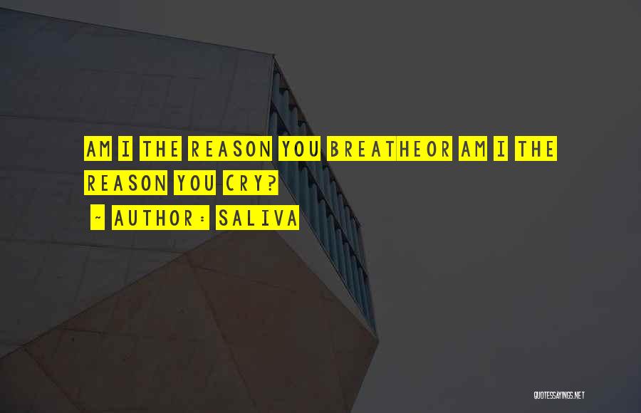 The Reason I Breathe Quotes By Saliva