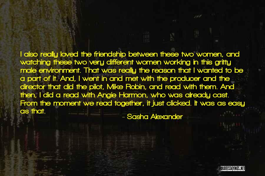 The Reason We Met Quotes By Sasha Alexander