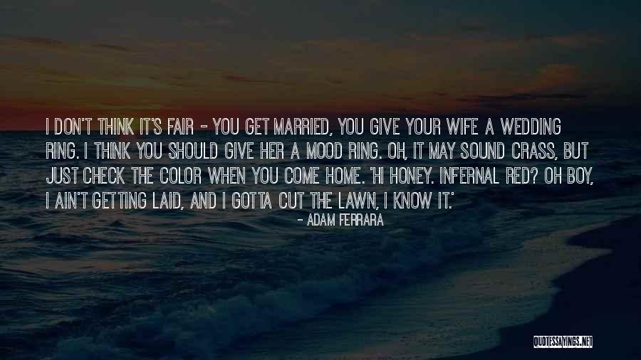 The Red Wedding Quotes By Adam Ferrara The Red Wedding Quotes By Adam Ferrara