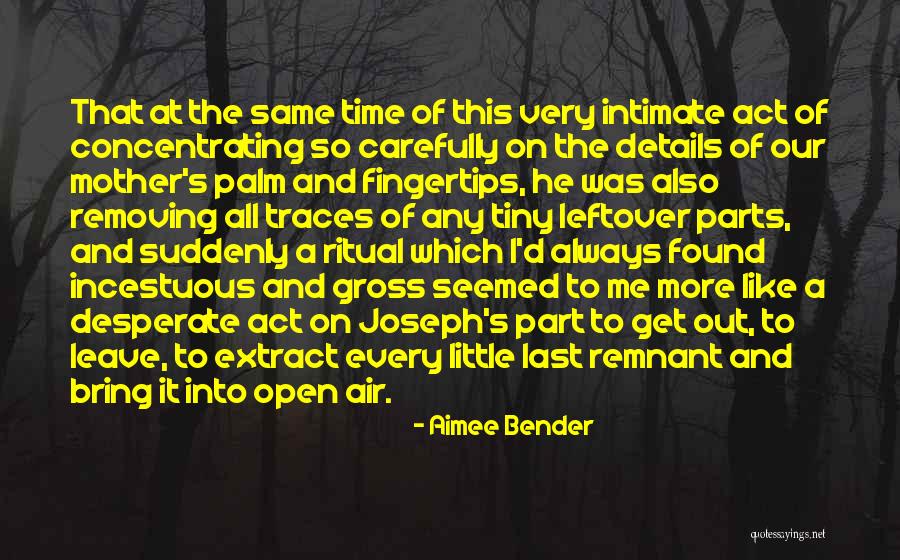 The Remnant Quotes By Aimee Bender The Remnant Quotes By Aimee Bender