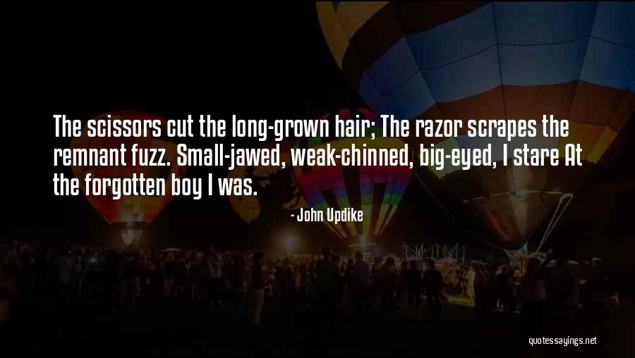 The Remnant Quotes By John Updike The Remnant Quotes By John Updike