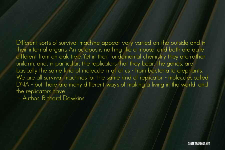 The Replicator Quotes By Richard Dawkins