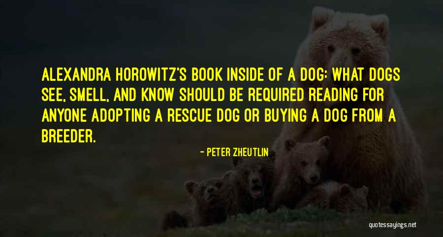 The Rescue Book Quotes By Peter Zheutlin