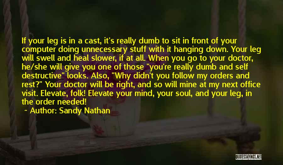 The Rest Will Follow Quotes By Sandy Nathan