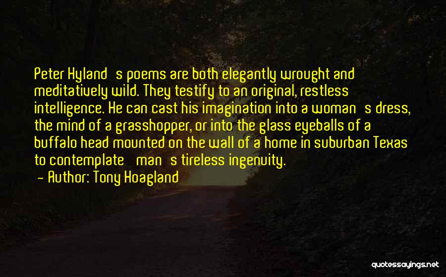 The Restless Mind Quotes By Tony Hoagland