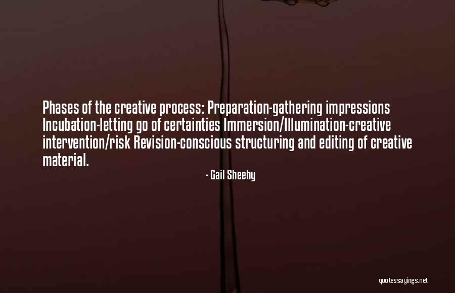 The Revision Process Quotes By Gail Sheehy The Revision Process Quotes By Gail Sheehy