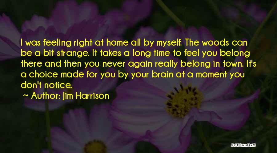 The Right Choice Quotes By Jim Harrison