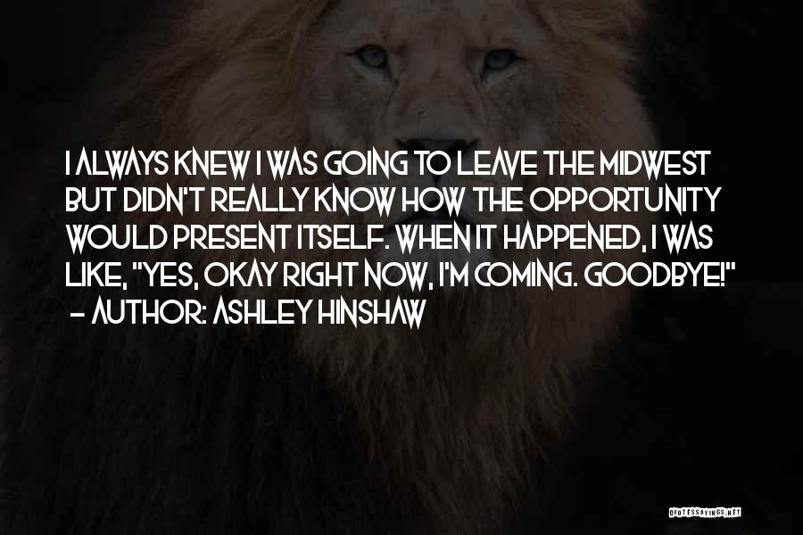 The Right Opportunity Quotes By Ashley Hinshaw
