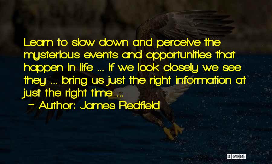 The Right Opportunity Quotes By James Redfield