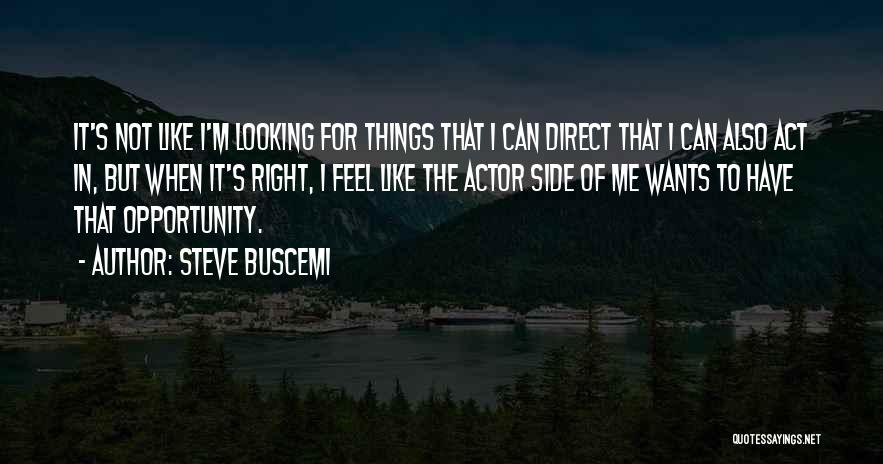 The Right Opportunity Quotes By Steve Buscemi