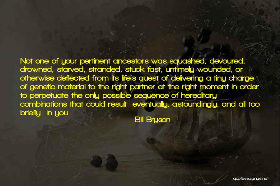 The Right Partner Quotes By Bill Bryson The Right Partner Quotes By Bill Bryson