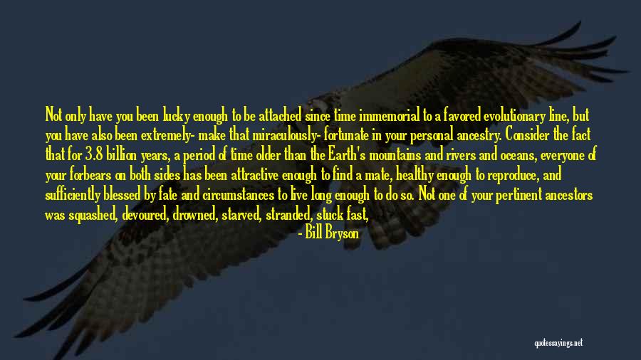 The Right Partner Quotes By Bill Bryson The Right Partner Quotes By Bill Bryson