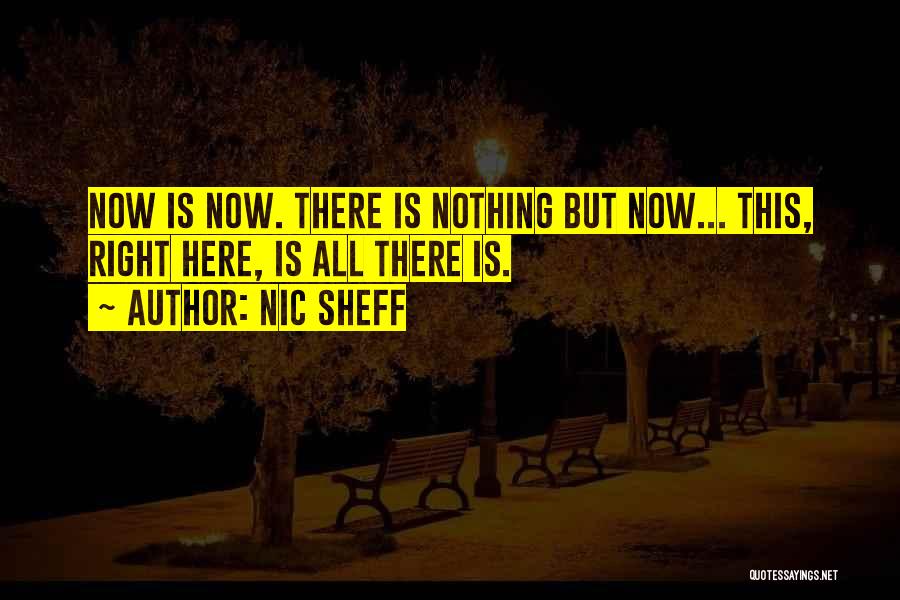 The Right Time Is Now Quotes By Nic Sheff