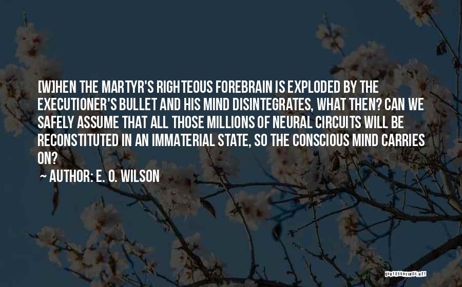 The Righteous Mind Quotes By E. O. Wilson