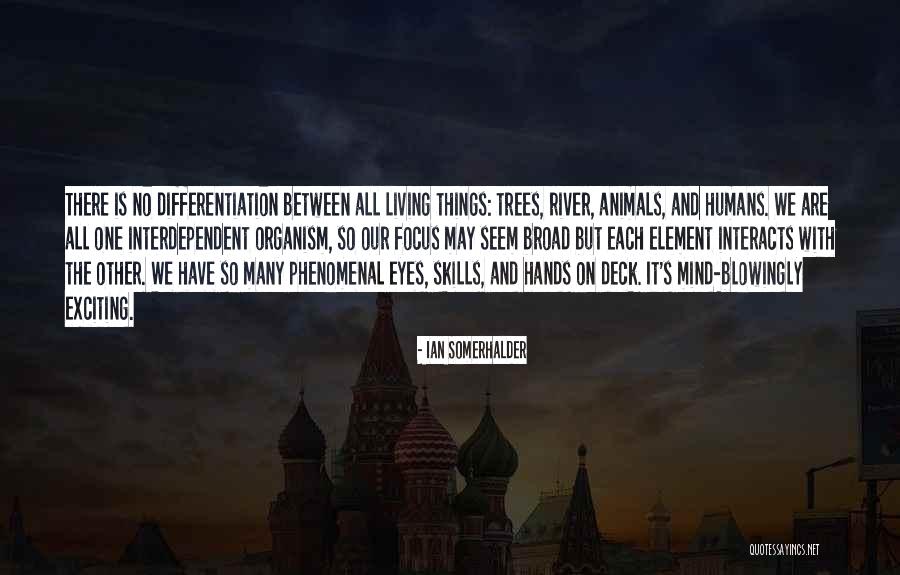 The River Between Us Quotes By Ian Somerhalder The River Between Us Quotes By Ian Somerhalder