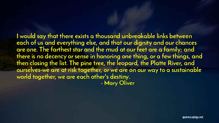The River Between Us Quotes By Mary Oliver The River Between Us Quotes By Mary Oliver
