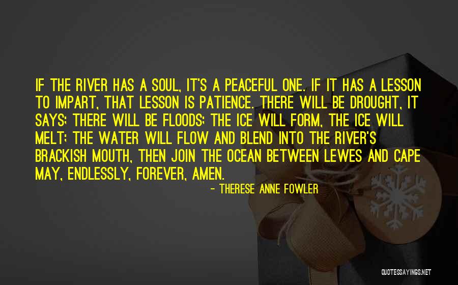 The River Between Us Quotes By Therese Anne Fowler