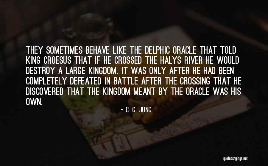 The River King Quotes By C. G. Jung