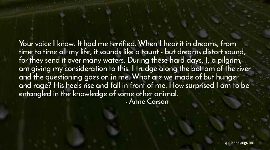 The River Of Life Quotes By Anne Carson The River Of Life Quotes By Anne Carson