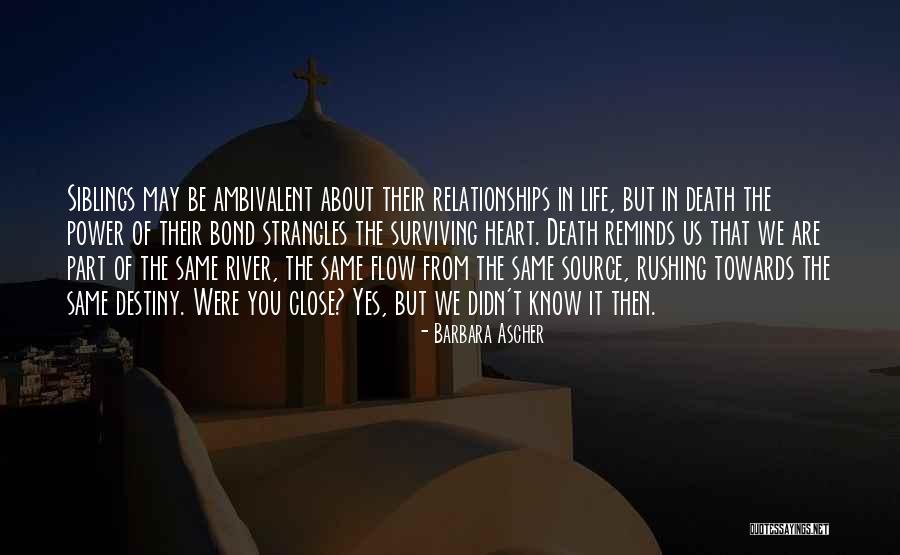 The River Of Life Quotes By Barbara Ascher