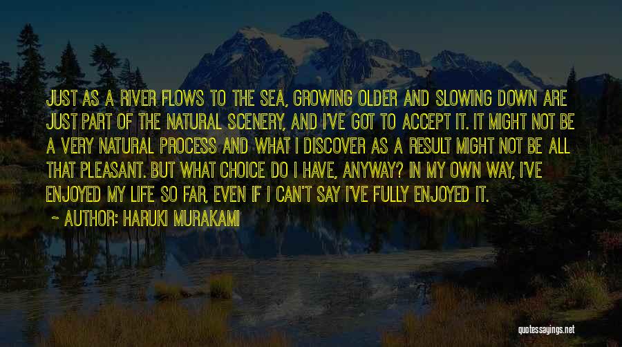 The River Of Life Quotes By Haruki Murakami