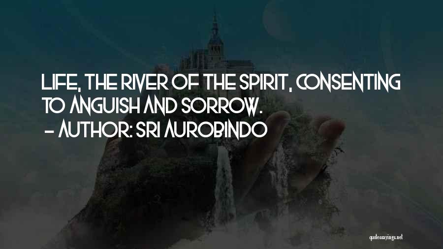 The River Of Life Quotes By Sri Aurobindo