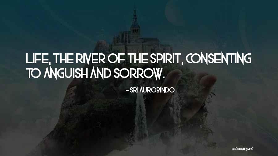 The River Of Life Quotes By Sri Aurobindo