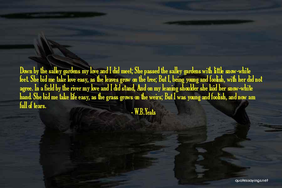 The River Of Life Quotes By W.B.Yeats