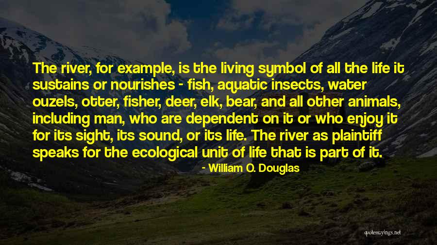 The River Of Life Quotes By William O. Douglas