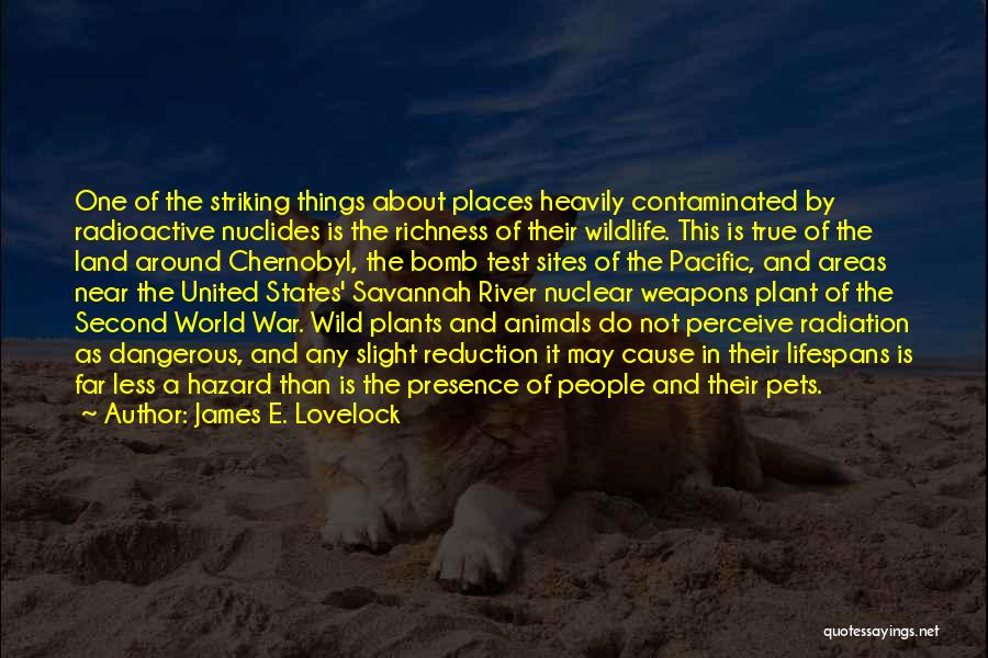 The River War Quotes By James E. Lovelock