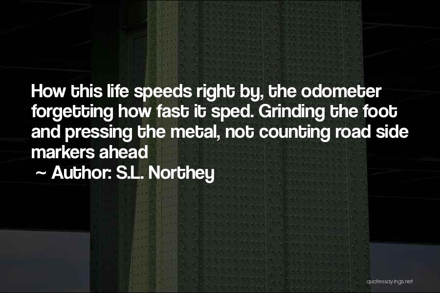 The Road Ahead Quotes By S.L. Northey