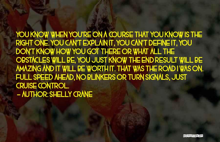 The Road Ahead Quotes By Shelly Crane