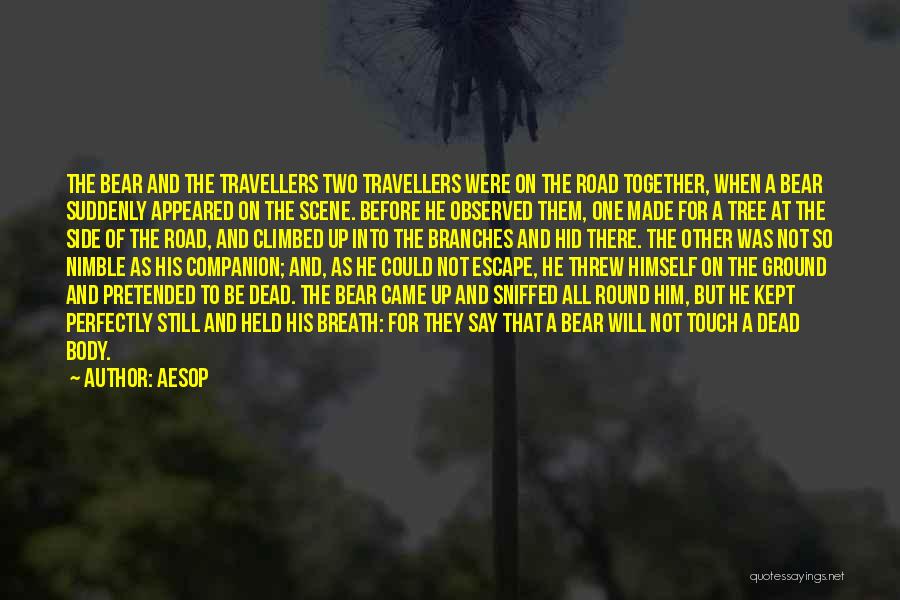 The Road Coast Quotes By Aesop