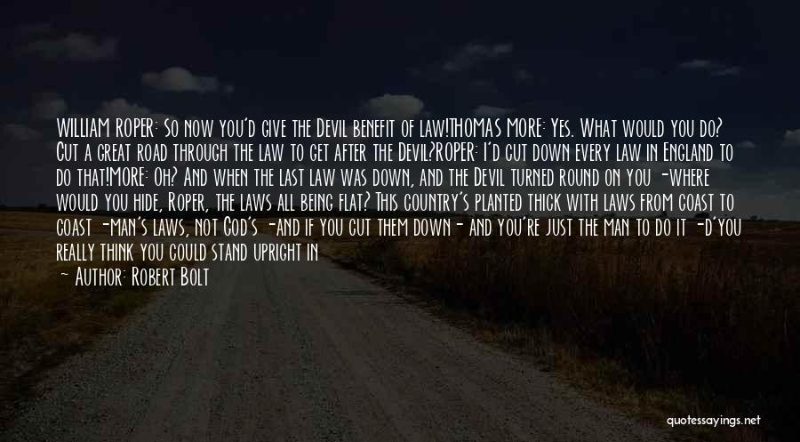 The Road Coast Quotes By Robert Bolt