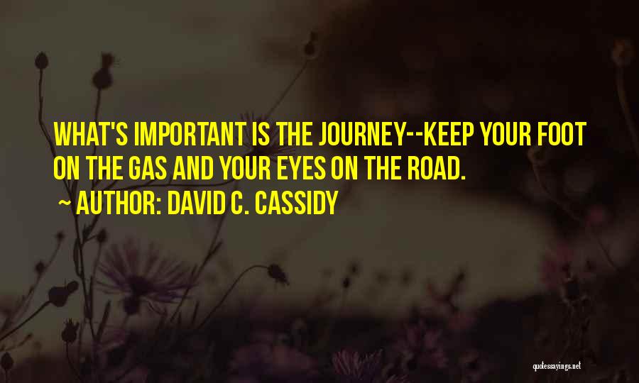 The Road Important Quotes By David C. Cassidy