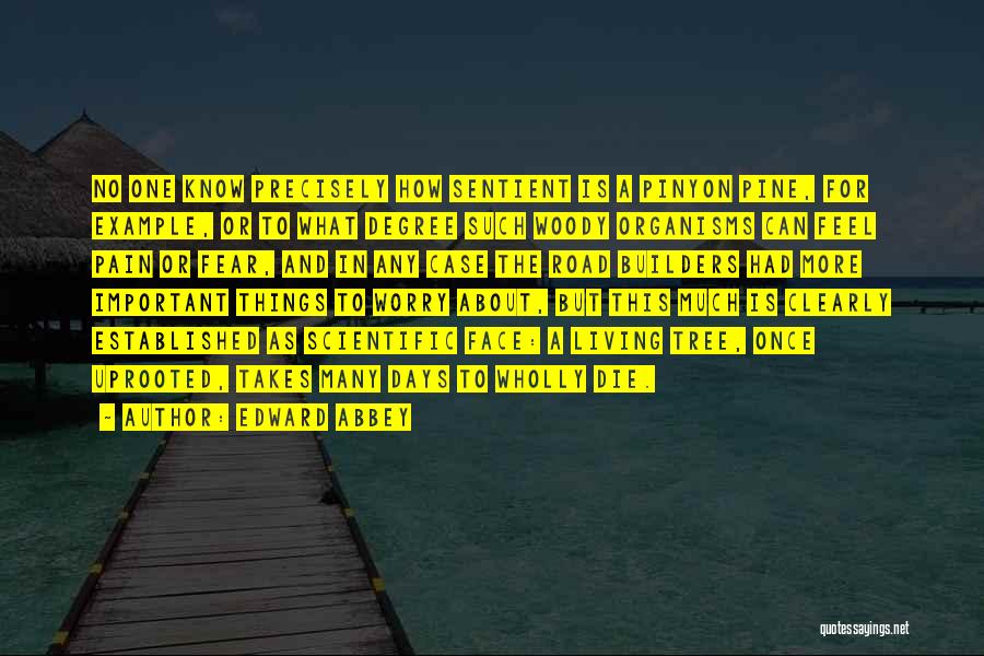 The Road Important Quotes By Edward Abbey The Road Important Quotes By Edward Abbey