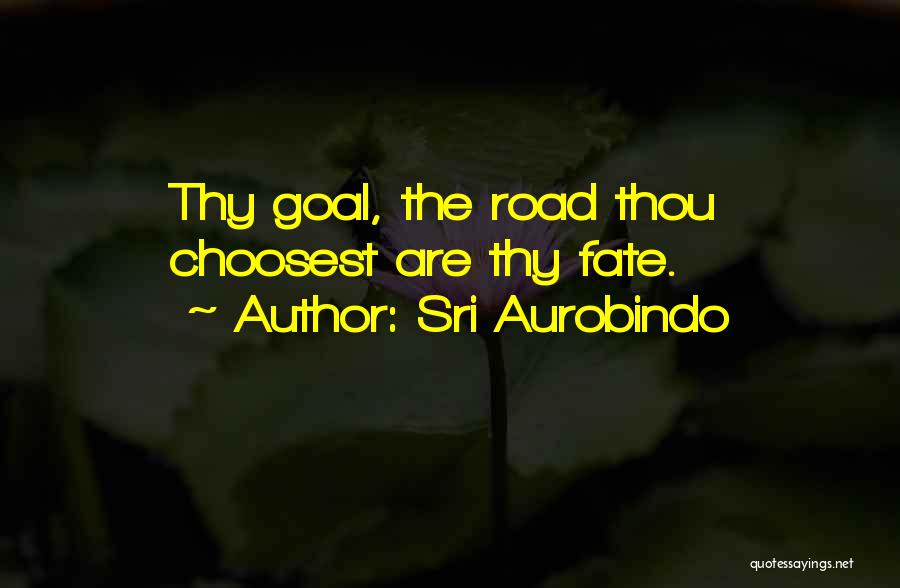 The Road Quotes By Sri Aurobindo