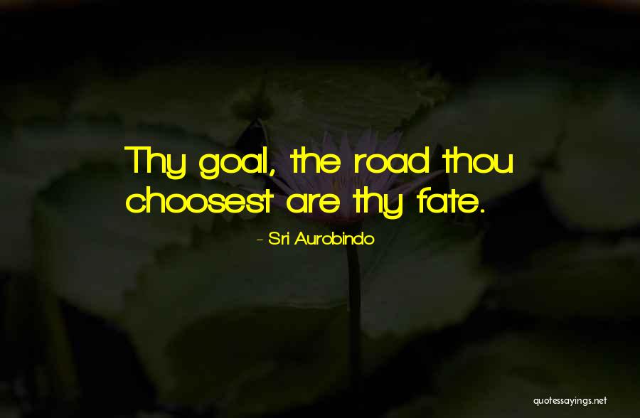 The Road Quotes By Sri Aurobindo