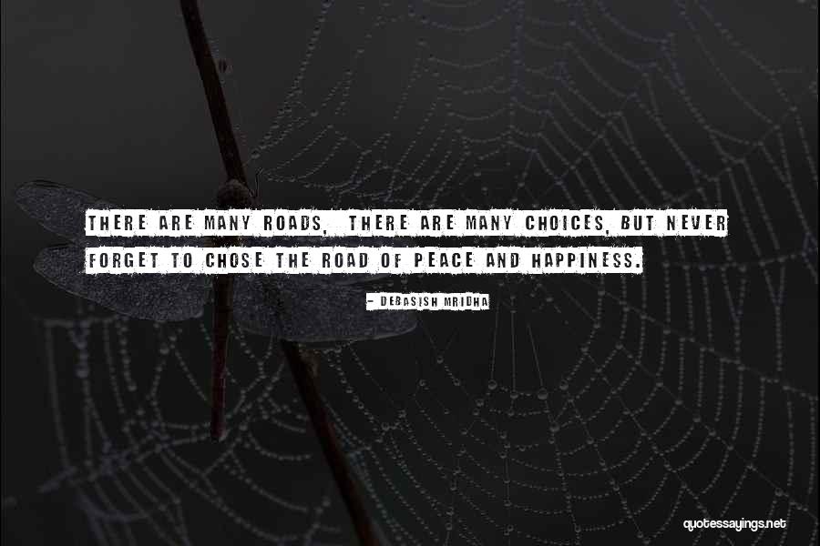 The Road To Happiness Quotes By Debasish Mridha The Road To Happiness Quotes By Debasish Mridha