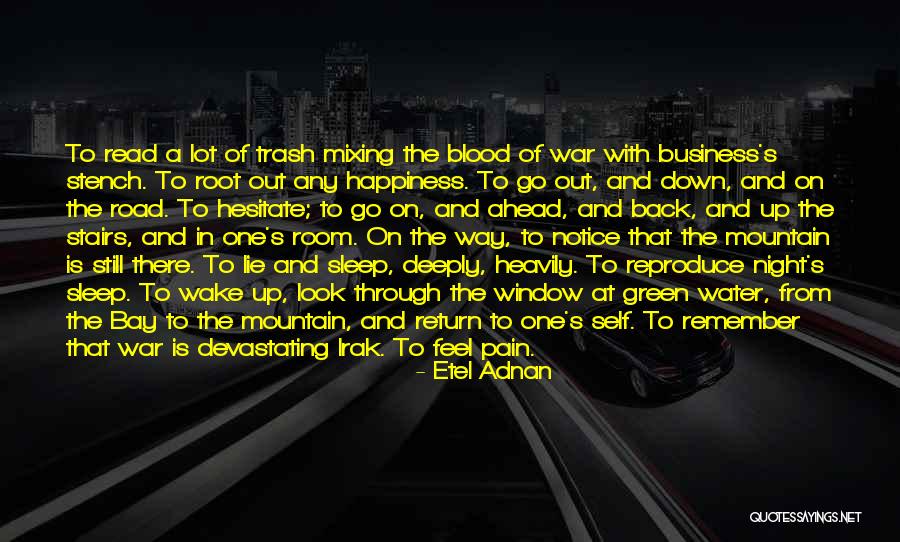 The Road To Happiness Quotes By Etel Adnan The Road To Happiness Quotes By Etel Adnan