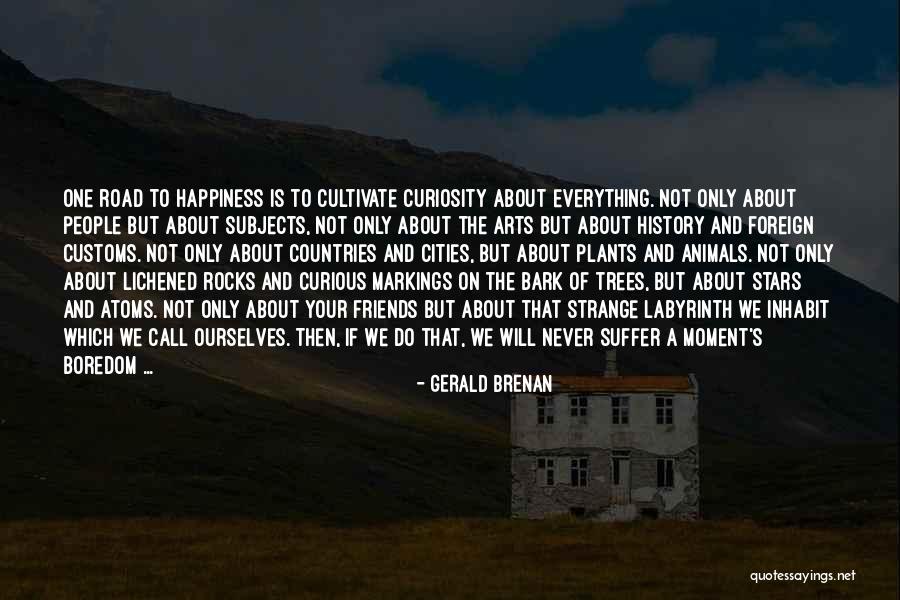 The Road To Happiness Quotes By Gerald Brenan The Road To Happiness Quotes By Gerald Brenan